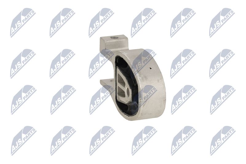 Paigutus, Mootor, NTY ZPS-FR-037