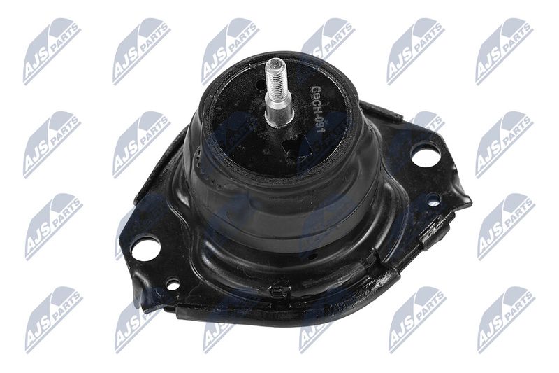 Paigutus, Mootor, NTY ZPS-CH-091