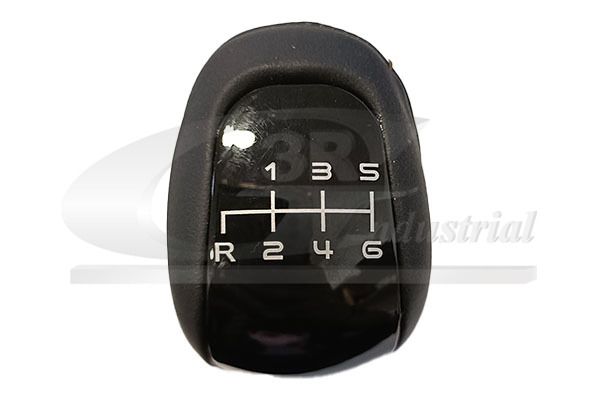 Käigukanginupp, 3RG 25565