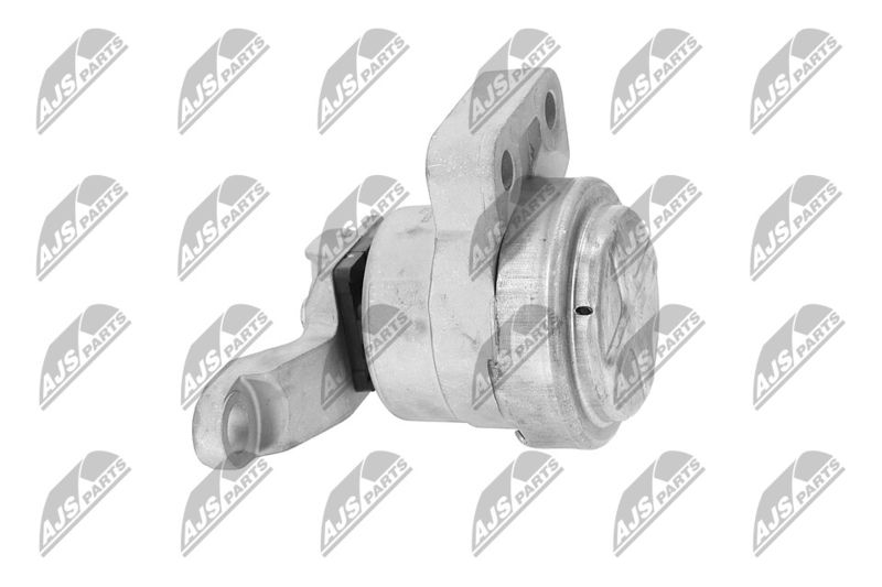 Paigutus, Mootor, NTY ZPS-FR-033