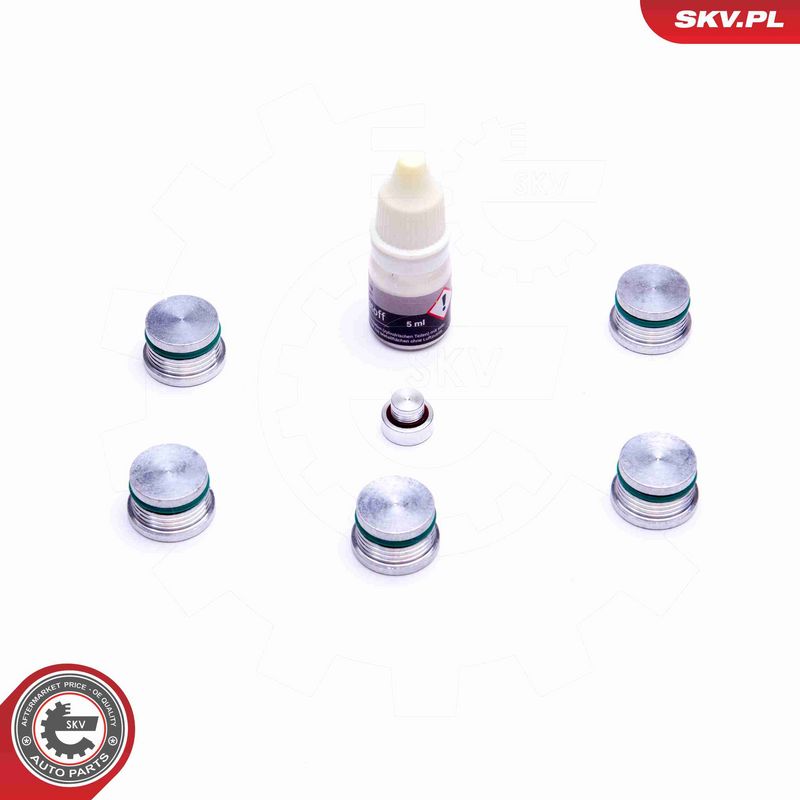 ESEN SKV 49SKV537 Repair Kit, intake manifold module