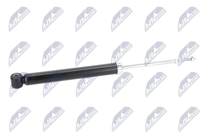 Amort, NTY A-NS-039