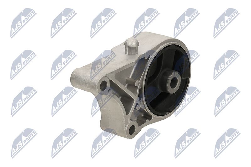 Paigutus, Mootor, NTY ZPS-PL-074