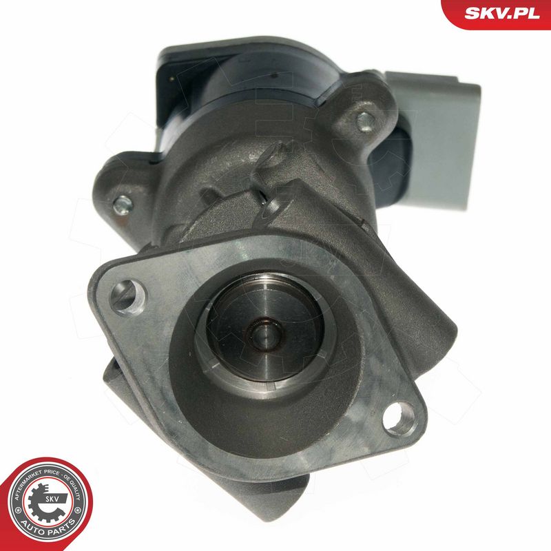 EGR-klapp, ESEN SKV 14SKV089
