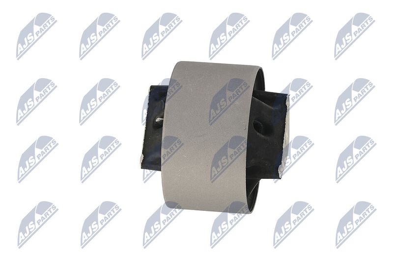 Paigutus, Mootor, NTY ZPS-CH-039