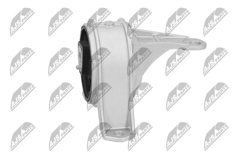 Paigutus, Mootor, NTY ZPS-PL-001