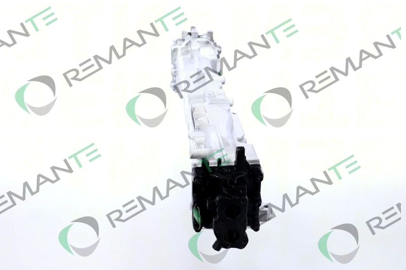 REMANTE 010-001-000019R EGR Module