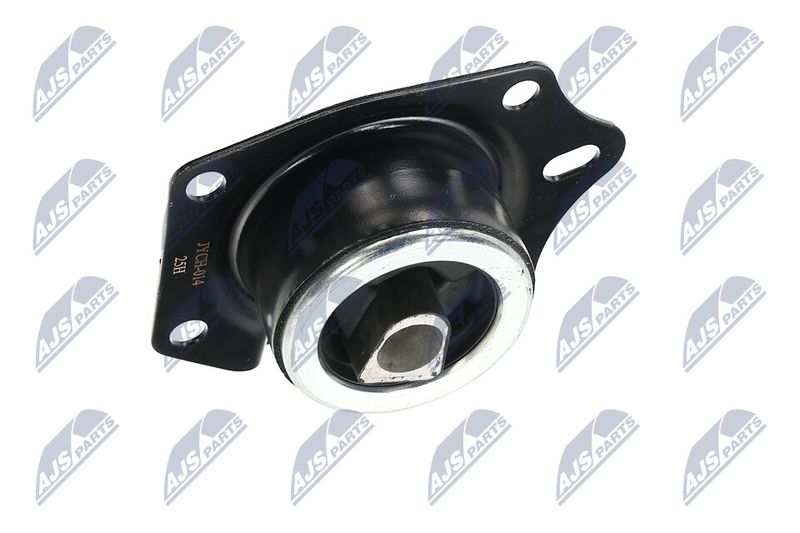 Paigutus, Mootor, NTY ZPS-CH-014