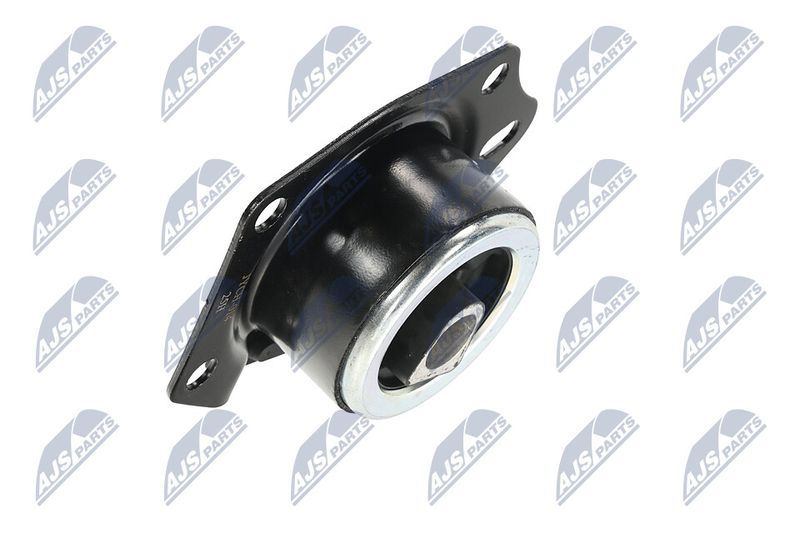 Paigutus, Mootor, NTY ZPS-CH-014