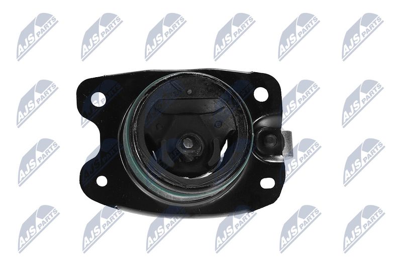 Paigutus, Mootor, NTY ZPS-CH-147