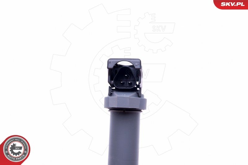 ESEN SKV 03SKV291 Ignition Coil