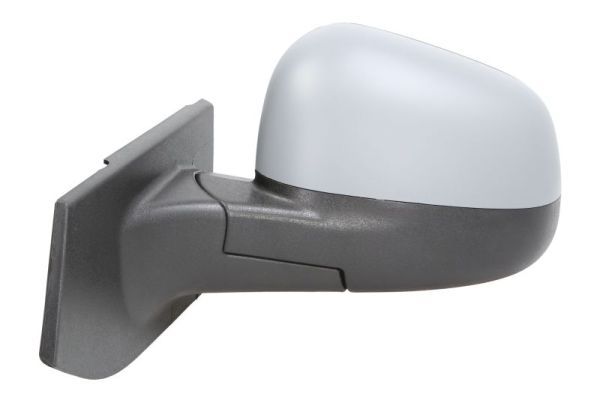 BLIC 5402-56-010369P Exterior Mirror
