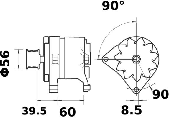 74796212.JPG