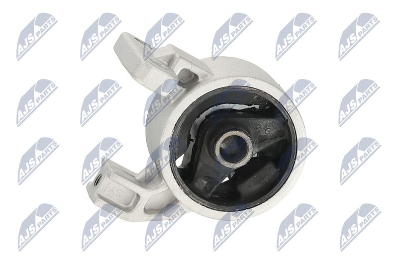 Paigutus, Mootor, NTY ZPS-KA-318