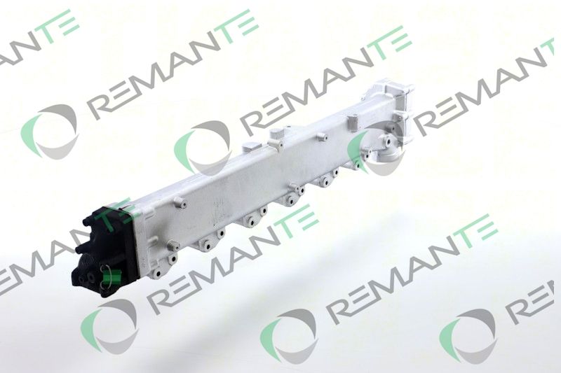 REMANTE 010-001-000005R EGR Module