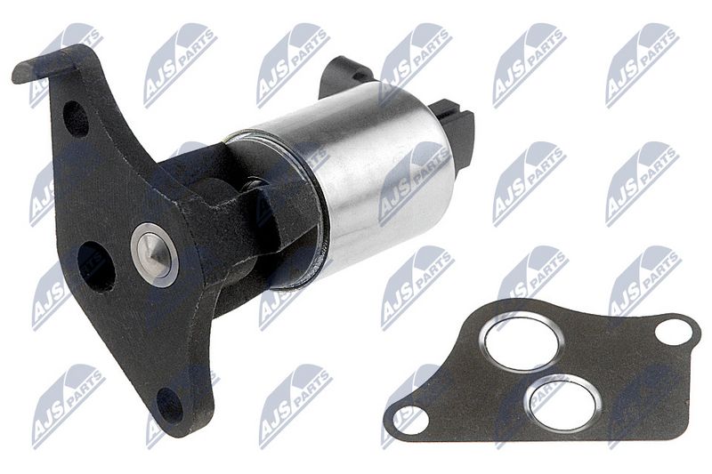 EGR-klapp, NTY EGR-PL-010