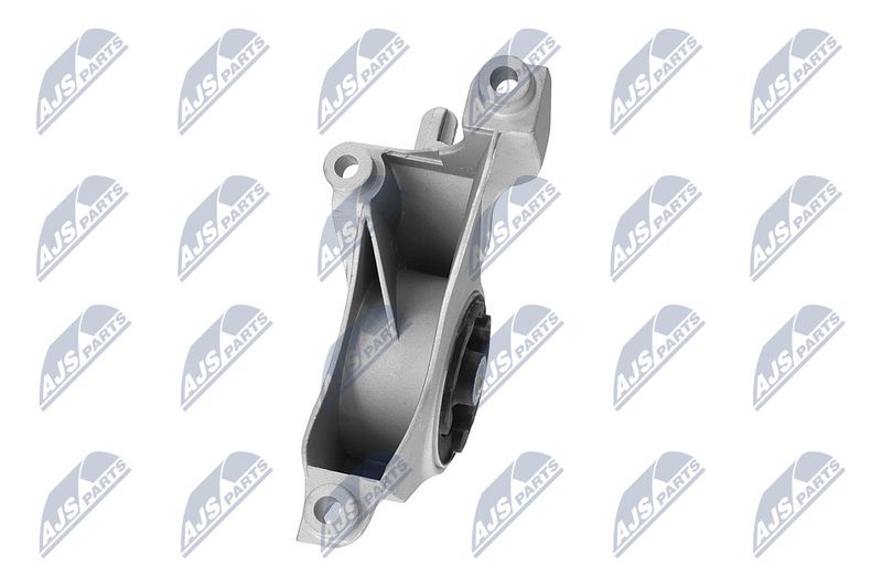 Paigutus, Mootor, NTY ZPS-CH-149