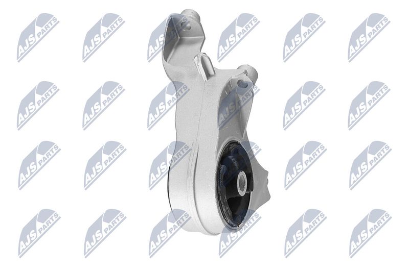 Paigutus, Mootor, NTY ZPS-CH-149