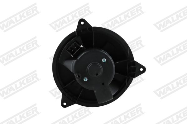 wbl01408_5352114.JPG