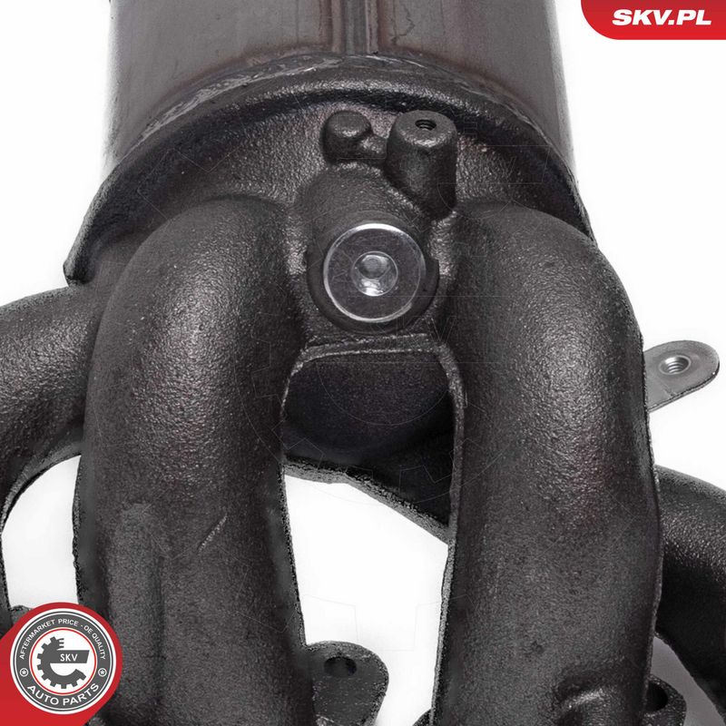 Katalüsaator, ESEN SKV 62SKV021