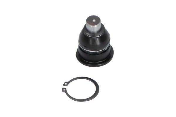 Kavo Parts SBJ-10011 Šarnyras