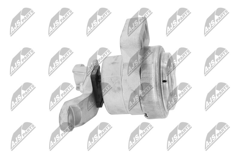 Paigutus, Mootor, NTY ZPS-FR-033