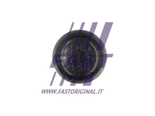 FT73233_2_1.JPG