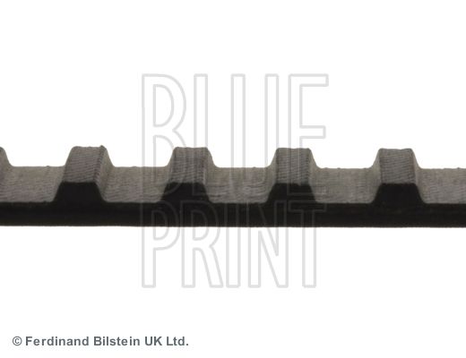 BLUE PRINT ADH27505 Timing Belt