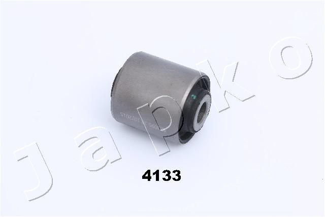 GOJ4133_1.JPG