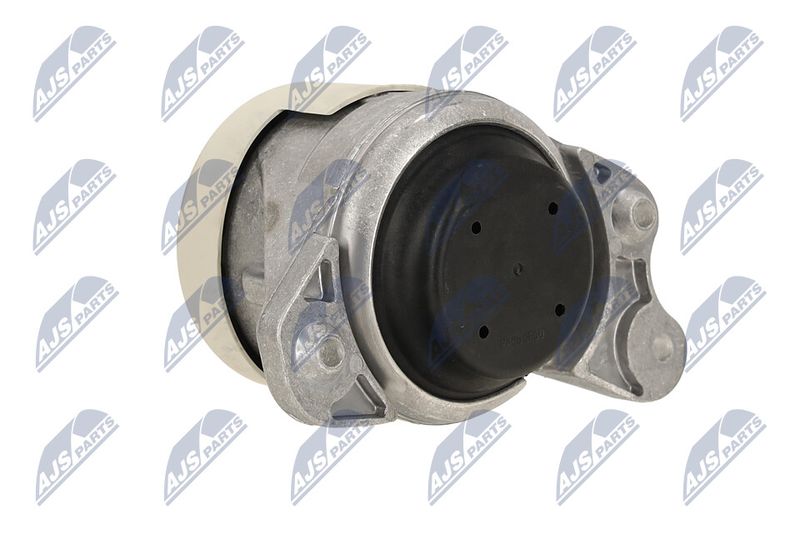 Paigutus, Mootor, NTY ZPS-ME-079