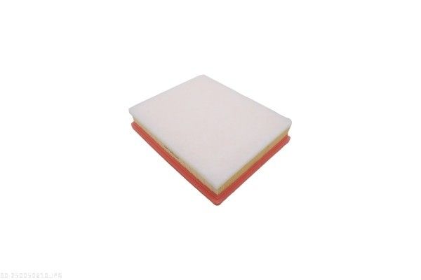 AUTOMEGA 250050610 Air Filter