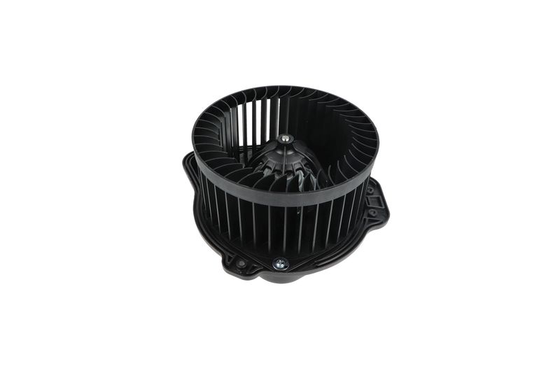 Salongipuhur, NRF 34136