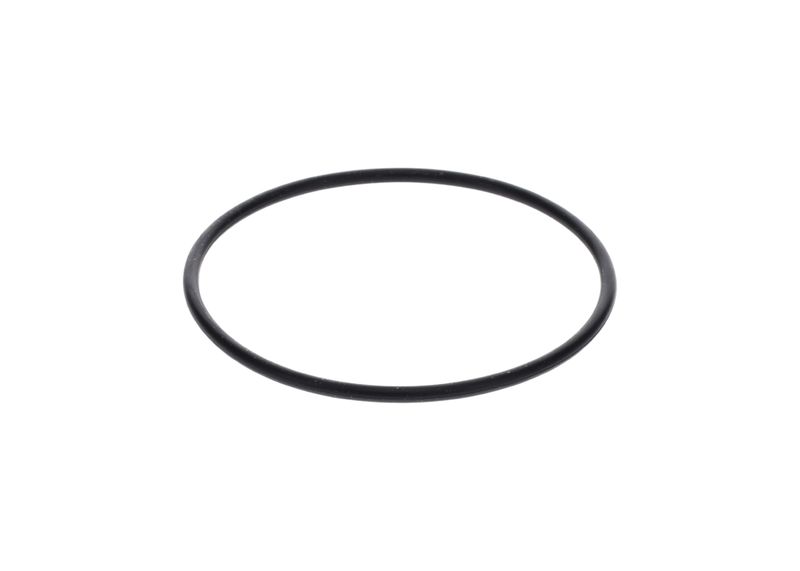Inel de etansare 1 900 210 154 BOSCH