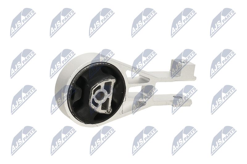 Paigutus, Mootor, NTY ZPS-PL-064