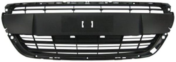 Grila radiator MTR 11751140