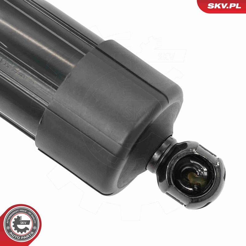 ESEN SKV 52SKV191 Electric Motor, tailgate