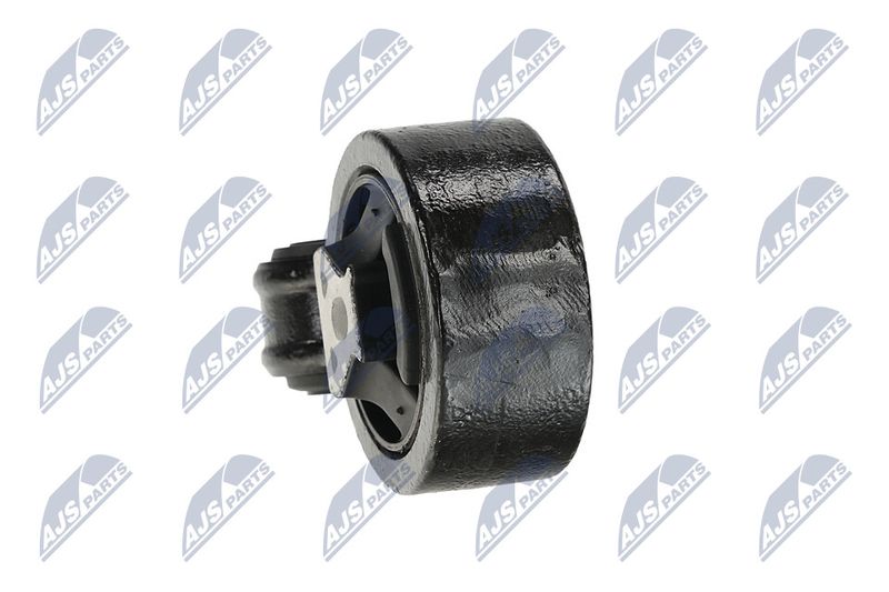 Paigutus, Mootor, NTY ZPS-CH-137