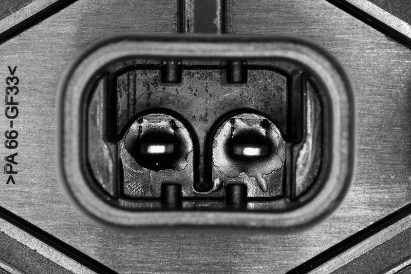 V33-0532_07.JPG