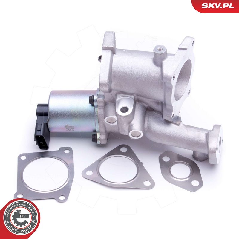 EGR-klapp, ESEN SKV 14SKV166