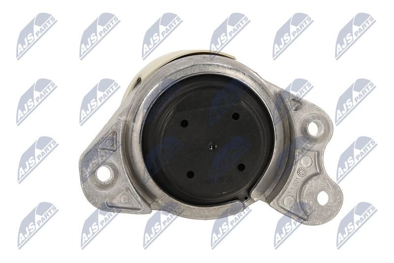 Paigutus, Mootor, NTY ZPS-ME-080