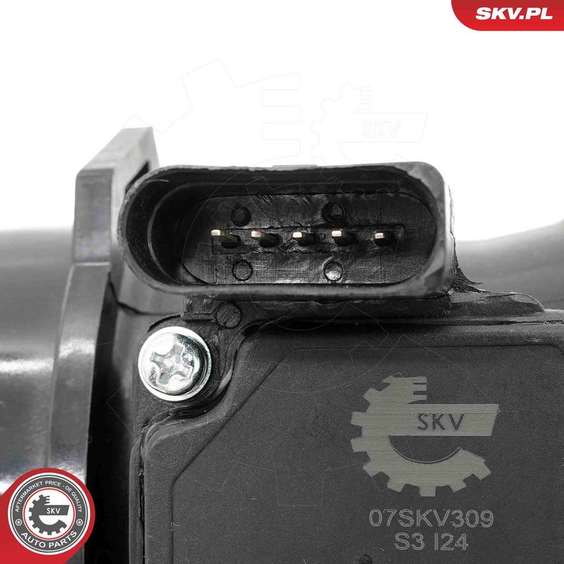 Õhumassimõõtja, ESEN SKV 07SKV309