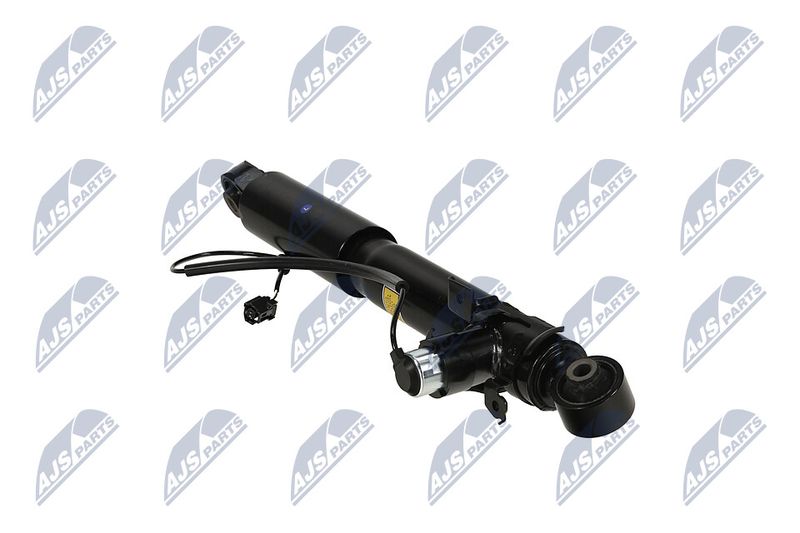 Amort, NTY A-TY-095