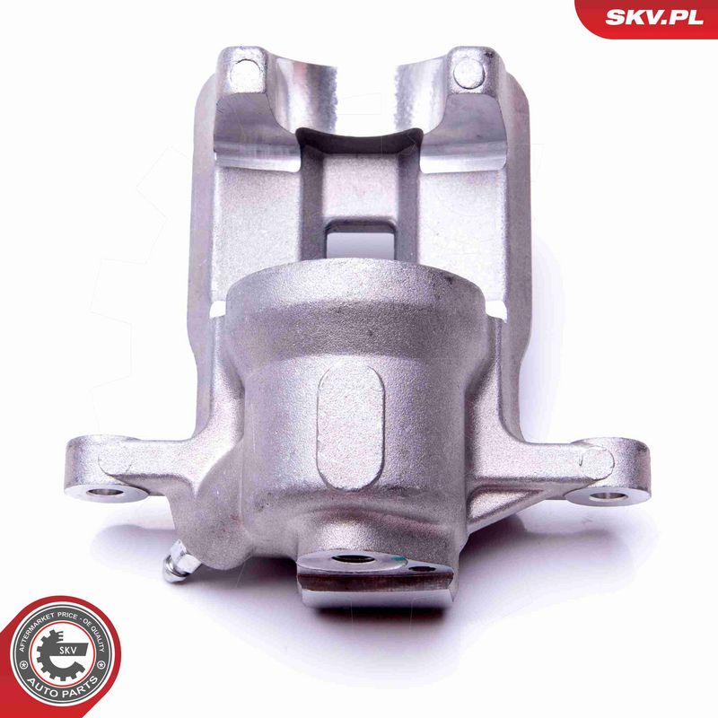 ESEN SKV 45SKV813 Brake Caliper