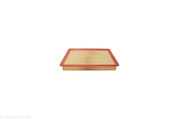 AUTOMEGA 180025210 Air Filter