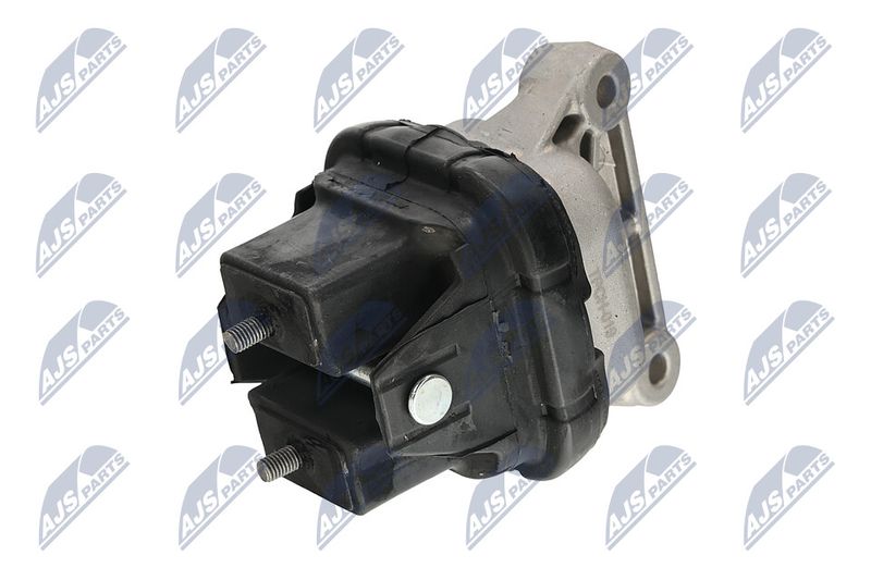 Paigutus, Mootor, NTY ZPS-CH-019