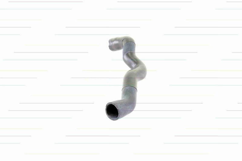 VAICO V30-0145 Radiator Hose