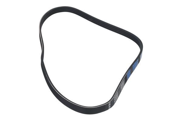 STELLOX 09-41560-SX V-ribbed Belt