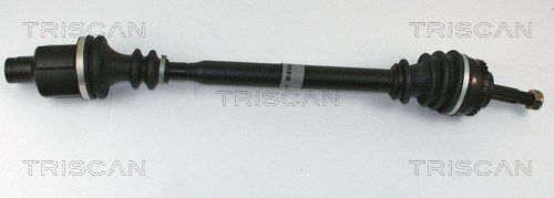 854025587.JPG