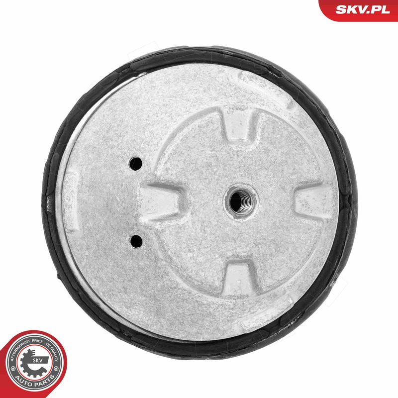 Paigutus, Mootor, ESEN SKV 75SKV175