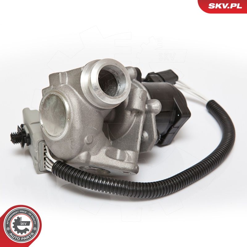 EGR-klapp, ESEN SKV 14SKV067